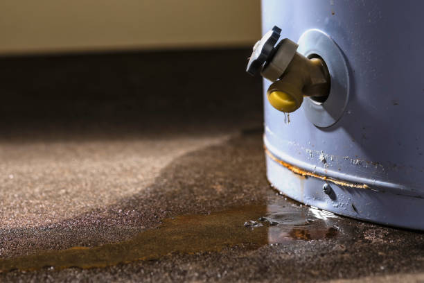 Best Flooded house restoration  in Sudley, VA