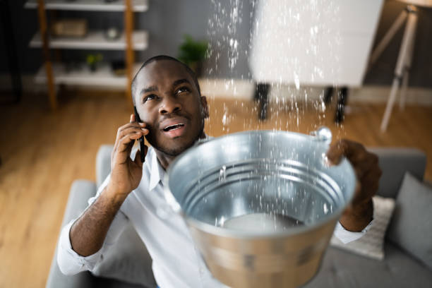 Best Local water damage restoration  in Sudley, VA