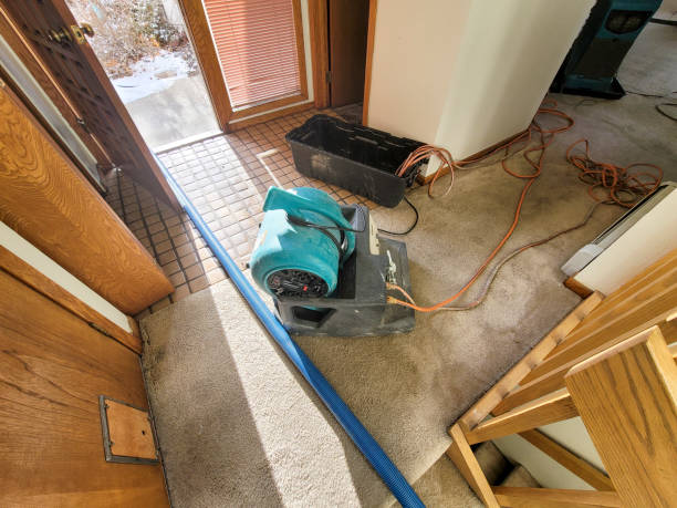 Best Professional water damage repair  in Sudley, VA