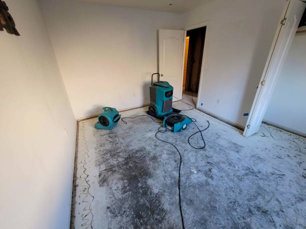 Best Flood restoration services  in Sudley, VA