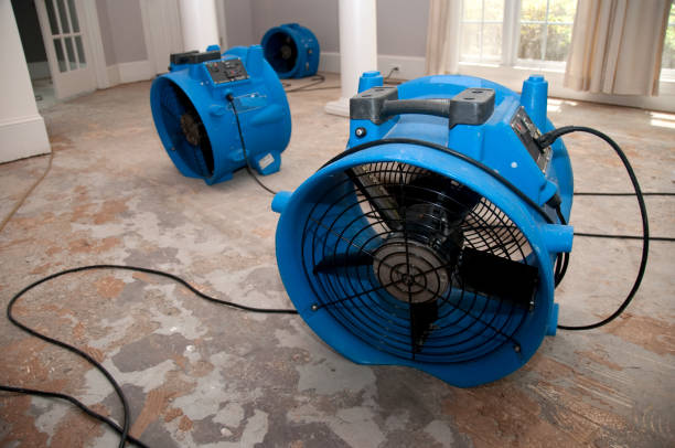 Best Water damage restoration near me  in Sudley, VA