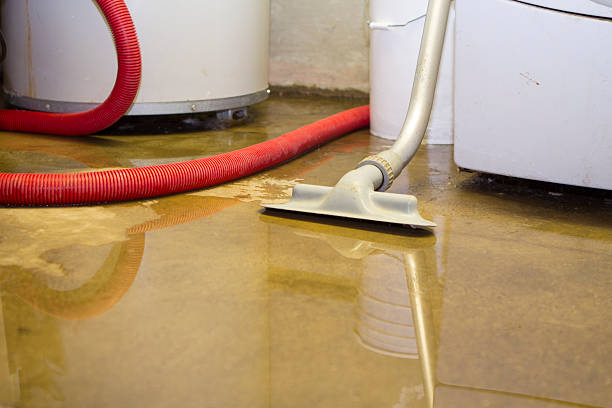 Best Water damage restoration process  in Sudley, VA