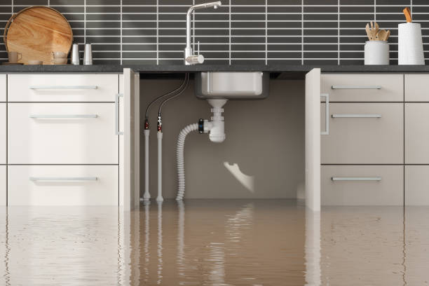 Best Residential water damage restoration  in Sudley, VA