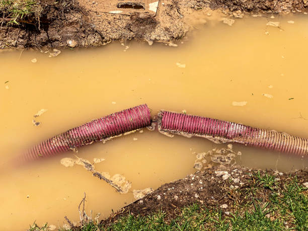 Best Water damage cleanup near me  in Sudley, VA