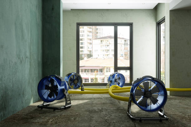 Best Mold removal after water damage  in Sudley, VA
